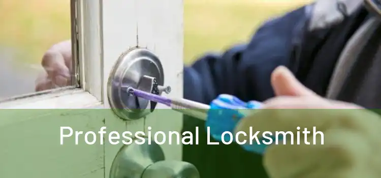  Professional Locksmith 
